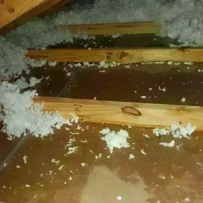 Attic Water Damage in Larned, KS