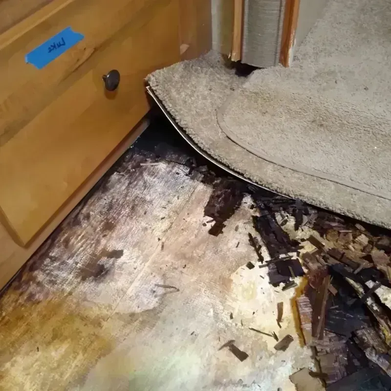 Best Wood Floor Water Damage Service in Larned, KS